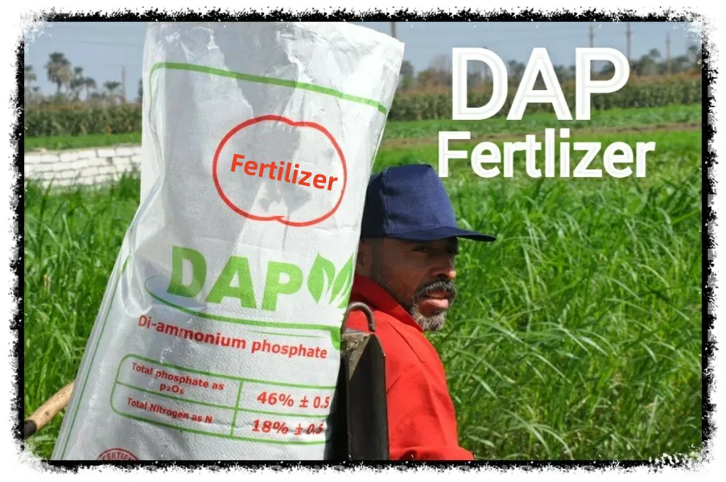 Inside a Modern DAP Fertilizer Production Line in Indonesia