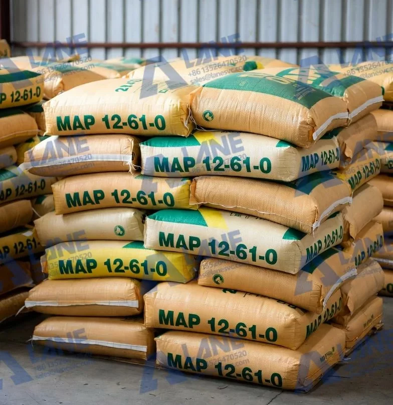 MAP Automatic Packaging: The Complete Guide to Maximizing Production Growth