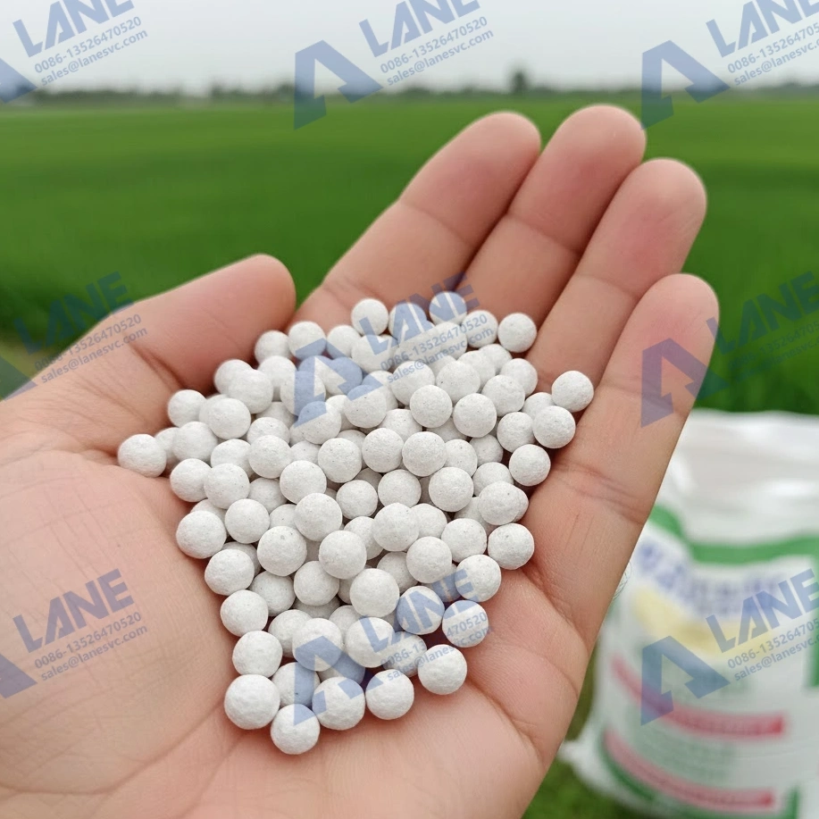 MAP Fertilizer Factory Equipment: Key Machines for Efficient Production and Profit