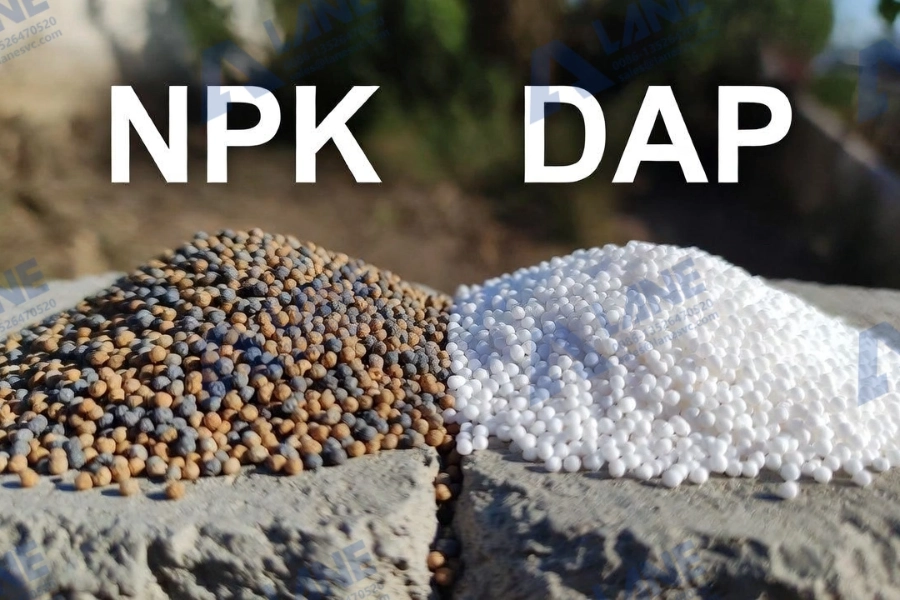Difference Between NPK and DAP Fertilizer: Simple Guide for Farmers